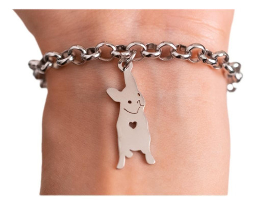 Pulsera Mini Rolo Perro Acero Quirurgico Varios Modelos