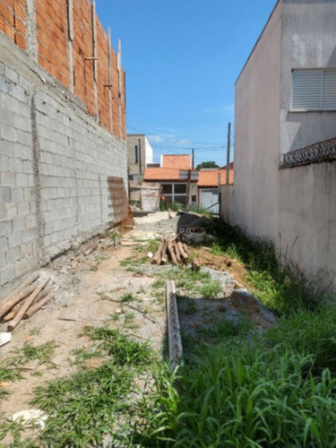 Imagem 1 de 4 de Totalmente Plano Na Vila Nova Aparecida - Te00169 - 68984766