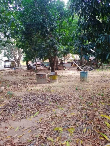 Vende Terreno Monte Alegre. M.c.