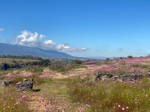 Terreno Comercial En Venta , Aculco Pueblo Magico, Edo. Mex.