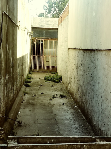 Imagen 6 de 9 de Excelente Ubicación Casa A Reciclar Sobre Calle Almafuerte