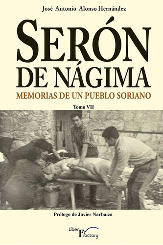 Serón De Nágima. Memorias De Un Pueblo Soriano. Tomo Vii, De José Antonio Alonso Hernández. Editorial Liber Factory, Tapa Blanda En Español, 2019
