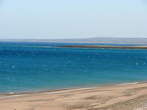 Inmobiliaria Comodoro - Peninsula Valdés - Refugio De Vida Silvestre - Permutas