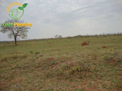 Imagem 1 de 6 de Fazenda Á Venda Em Bandeirantes - Ms - 1.020 Hectares (dupla Aptidão) - 2026