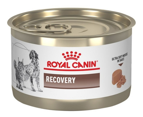 6 Latas Royal Canin Recovery Para Perro Y Gato