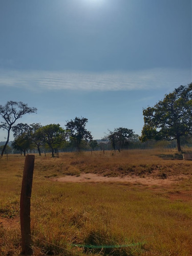 Imagem 5 de 13 de Fazenda Para Pecuária A Venda Na Região De Itapagipe / Campina Verde-mg, Com 57,5 Alqueirao, Benfeitorias Completas, Rio E Represa - Fa00395 - 70075361