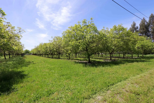 Venta Parcelas En El Tijeral, Angol Imperdible