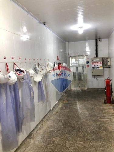 Imagem 11 de 16 de Frigorífico - Venda - De R$ 8.000.000 Por R$ 7.500.000 - Poconé - Ba0006