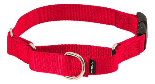 Collar De La Martingala De Petsafe Petite Con Hebilla Rápida