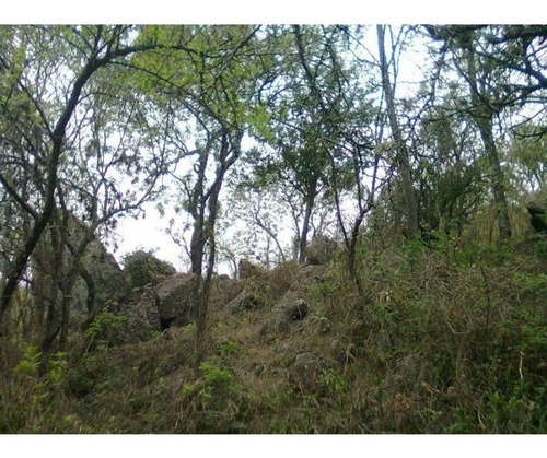 Imagen 3 de 18 de Amplisimo Lote En Prado De La Rivera . Agua De Oro,cordoba!
