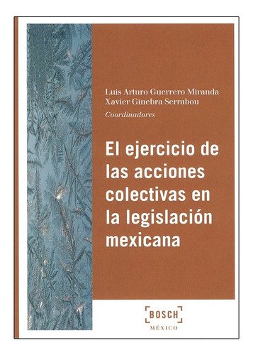 Ejercicio De Las Acciones Colectivas En La Legisla. Mexicana