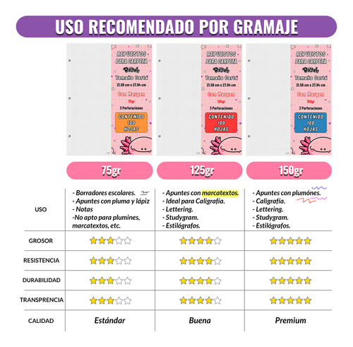 100 Hojas Sistema De Discos Con Margen 75gr Tamaño Carta Cuadro Chico