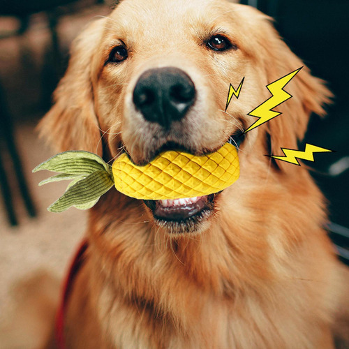 Juguetes Para Masticar Perros Piña Juguetes Para Masticar Ca