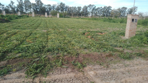 Lotes Terrenos En Venta Aptos Para Escriturar Financiados Zona Oeste