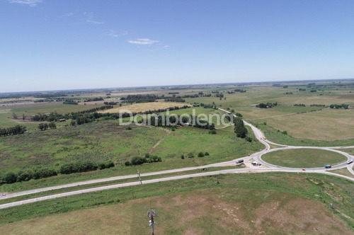 Imagen 4 de 16 de Terreno En Venta O Permuta Ubicado En General Rodríguez, General Rodríguez