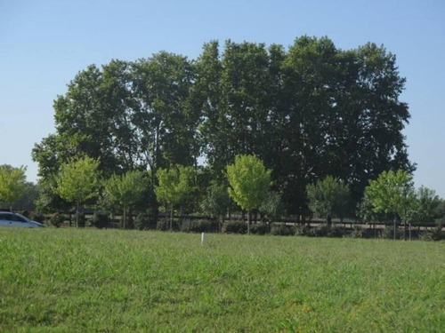 Imagen 3 de 11 de Lote Interno De 1.577 M2 En Pilará, B° La Volanta | Mallmann Propiedades