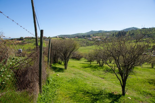 Venta Parcela En Limache, En Condominio Santa Teresa