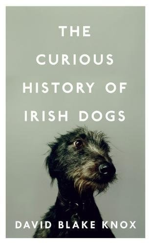 La Curiosa Historia De Los Perros Irlandeses