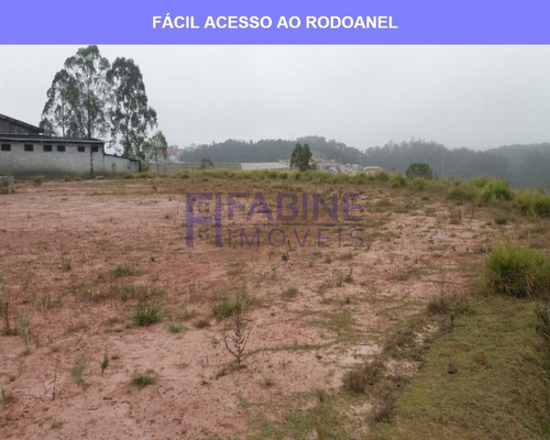 Imagem 5 de 12 de Terreno Área Industrial - Te00001 - 67632053