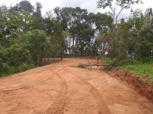 H 11- Traga Sua Família Vem Pra Nazaré Paulista