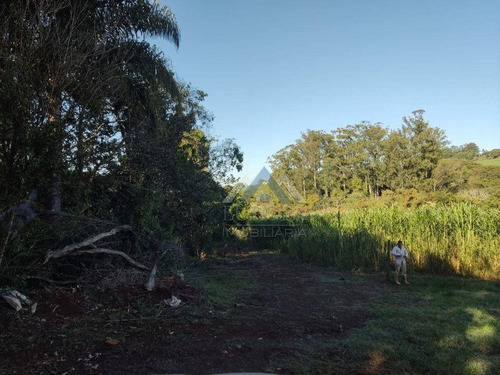 Imagem 5 de 12 de Chácara À Venda, 17000 M² Por R$ 1.000.000,00 - Jardim Costa Do Sol - Rolândia/pr - Ch0215