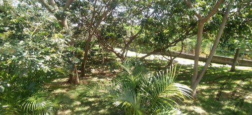 Imagem 2 de 18 de Apartamento - Ap00085 - 69862105