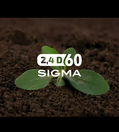 Herbicida 2,4 D 60 Sigma Mata Yuyo