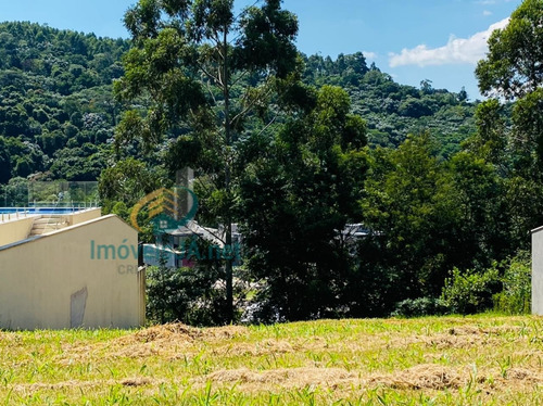 Imagem 15 de 29 de Excelente Lote - Tamboré 11 - Em Uma Das Melhores Ruas Do Condomínio - Leve Declive - 560 M2 - 827