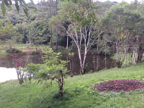 Imagem 10 de 11 de Sitio Completo Com Lago E 2 Piscinas