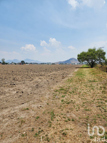 Venta Terreno 0 Ambiente San Gregorio Cuautzingo