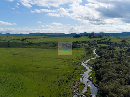 Imagen 10 de 14 de Chacras En Venta Fraccionamiento Altos De Aiguá