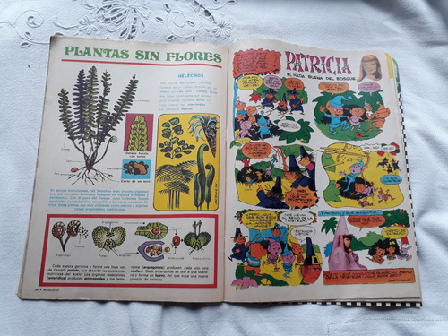Anteojito Nº 546 23/8/1975 Publicidad Rayito De Sol Piel Ros (Usado)