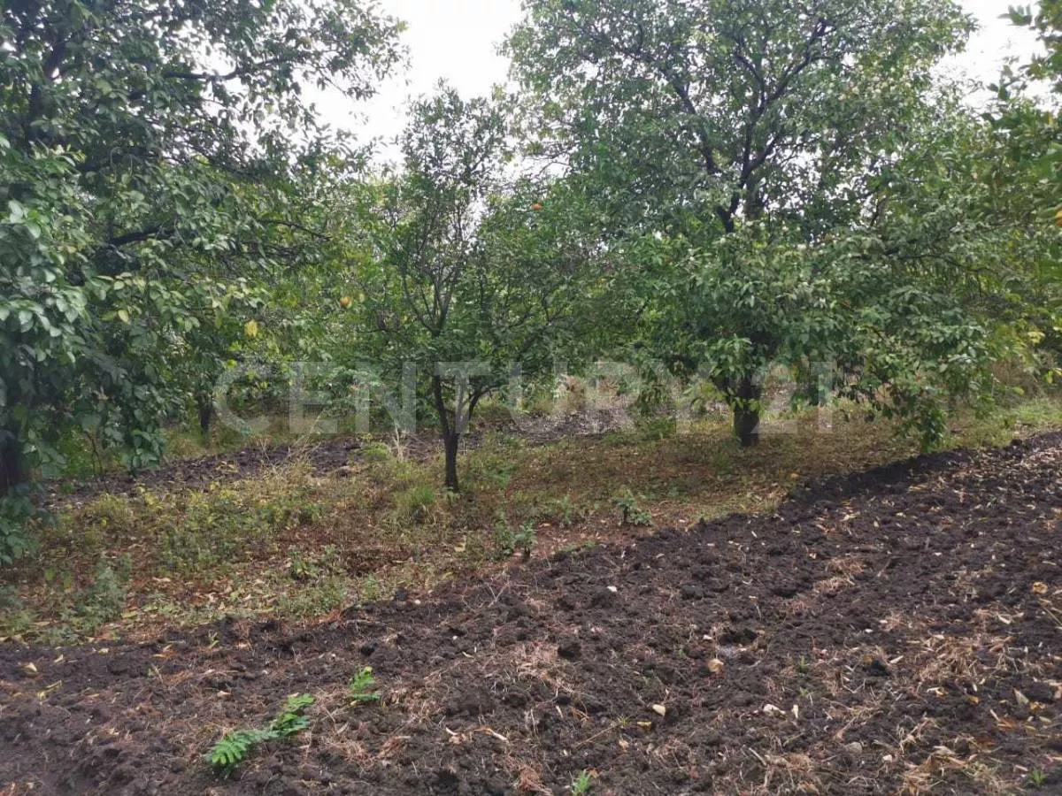 Terreno En Venta En Los Arroyo