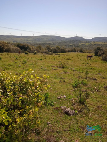 Chacras De 5 Has En Las Sierras, Monte Nativo Y Buenas Vistas