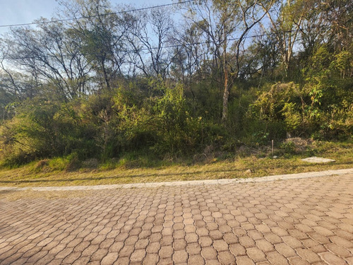 Venta Lote Gladiola 42 Con Vistas Panorámicas Y Todos Los Servicios Y Proyecto Incluído. A Unos Pasos De Las Amenidades En Nueva Zona De Fracc Rancho San Diego Ixtapan De La Sal Edomex