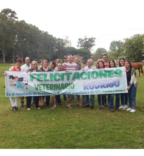 Imagen 9 de 11 de Pasacalles Carteles 15 Años Cumpleaños Recibimiento
