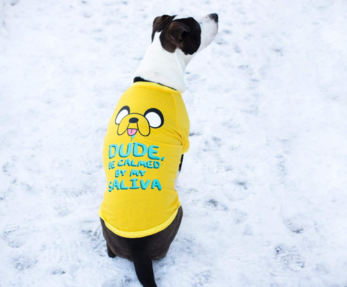 Tiempo De Aventura Jake Saliva Pet Camiseta: X-large