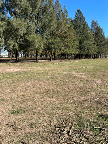 Lotes - Terreno En Venta - Barrio Abierto - Las Merceditas