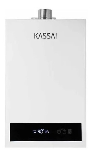 Calentador Instantáneo Kassai Exterior Gas Lp 12 Litros P/m