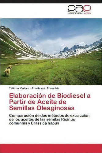 Elaboracion De Biodiesel A Partir De Aceite De Semillas Oleaginosas, De Arancibia Arantzazu. Editorial Academica Espanola, Tapa Blanda En Español