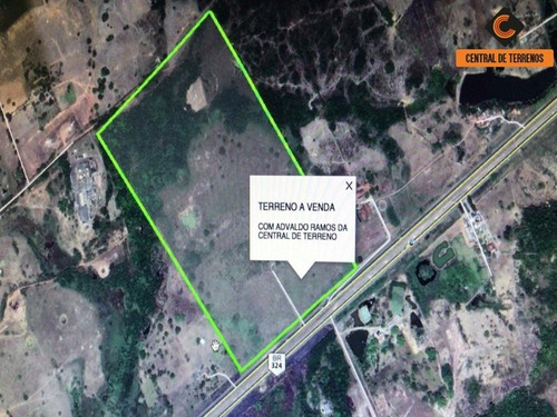 Imagem 3 de 4 de Area Industrial Na Br 324 - Te00473 - 69889310