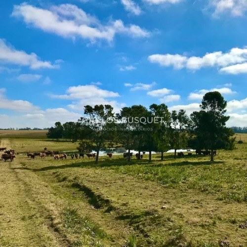 Chacra En Venta De 5 Hectáreas - Camino Medellin