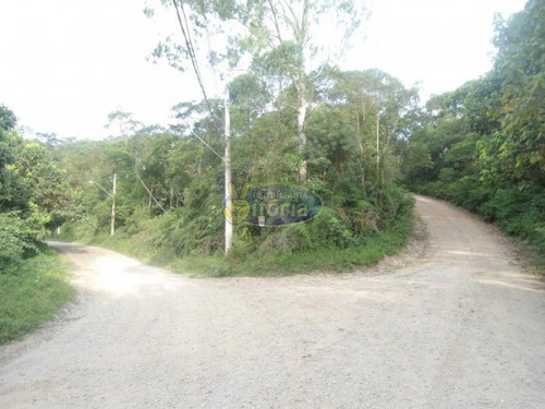 Imagem 3 de 3 de Excelente Terreno No Battistini - 100