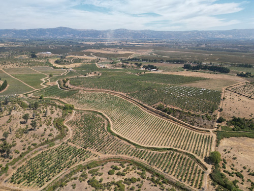 Venta De Campo En Río Claro Id 50.079-cam