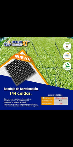 Bandeja De Germinación Semillas