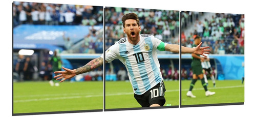 Cuadro Triptico Messi Argentina Festejando 90x40cm