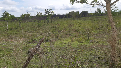 Finca En Venta Guerra20