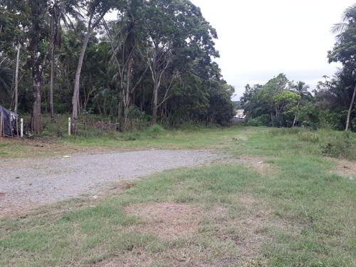 Imagem 3 de 8 de Terreno Em Camaçari - Te00323 - 34954988