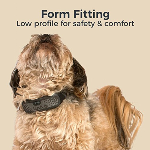 Link Akc Smart Dog Collar Gps Location Tracker, Activity