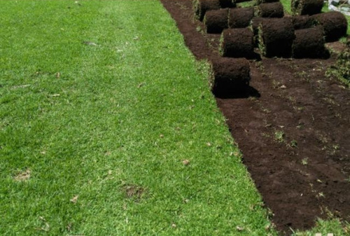 Pasto Para Jardin